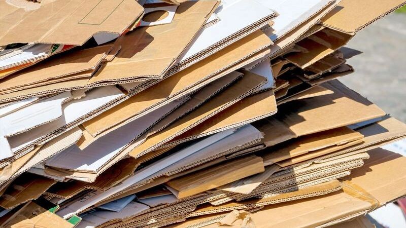    Фото: Lisa-S / Shutterstock / Fotodom