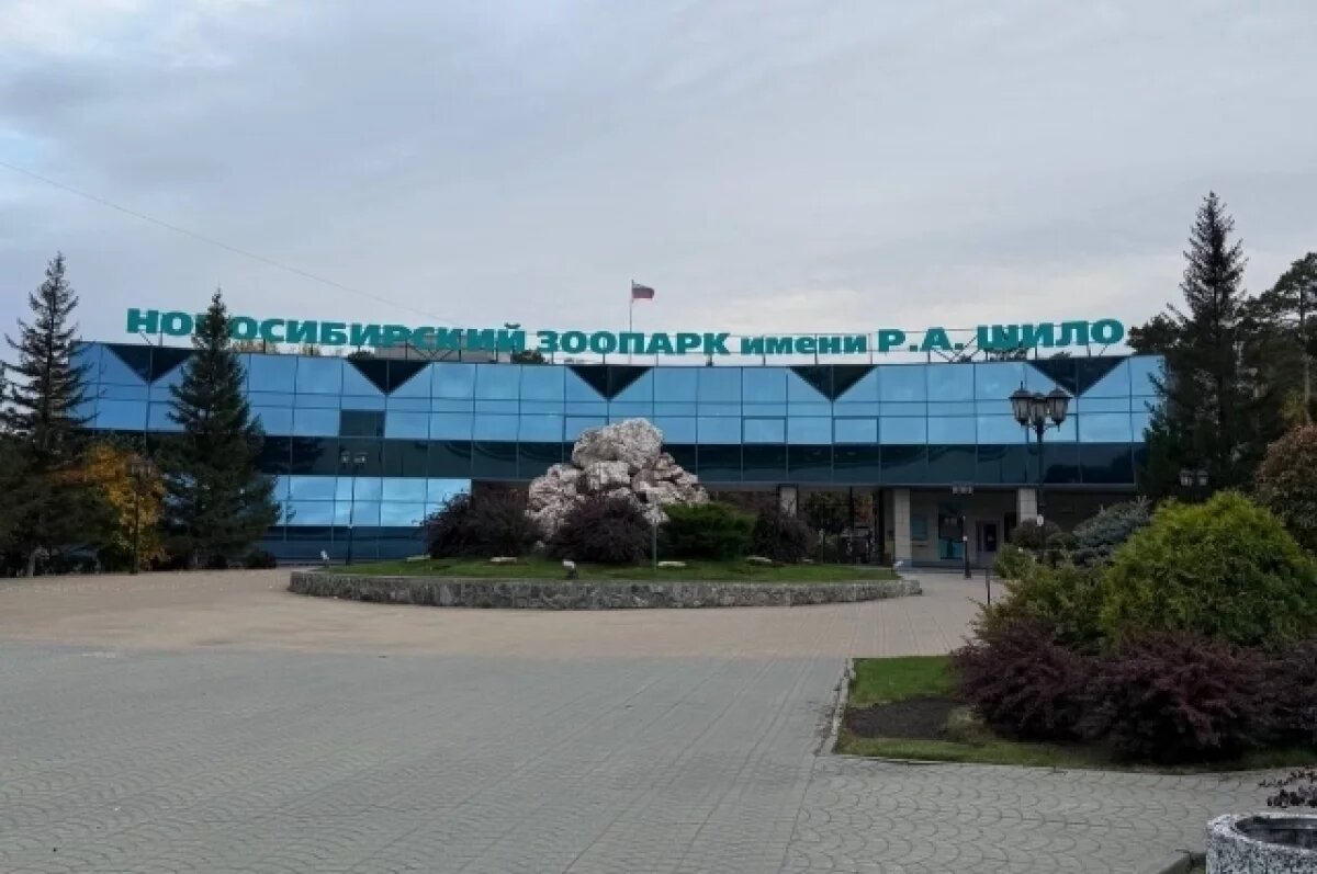    Неизвестные принесли яблоко со стеклом питомцам зоопарка в Новосибирске