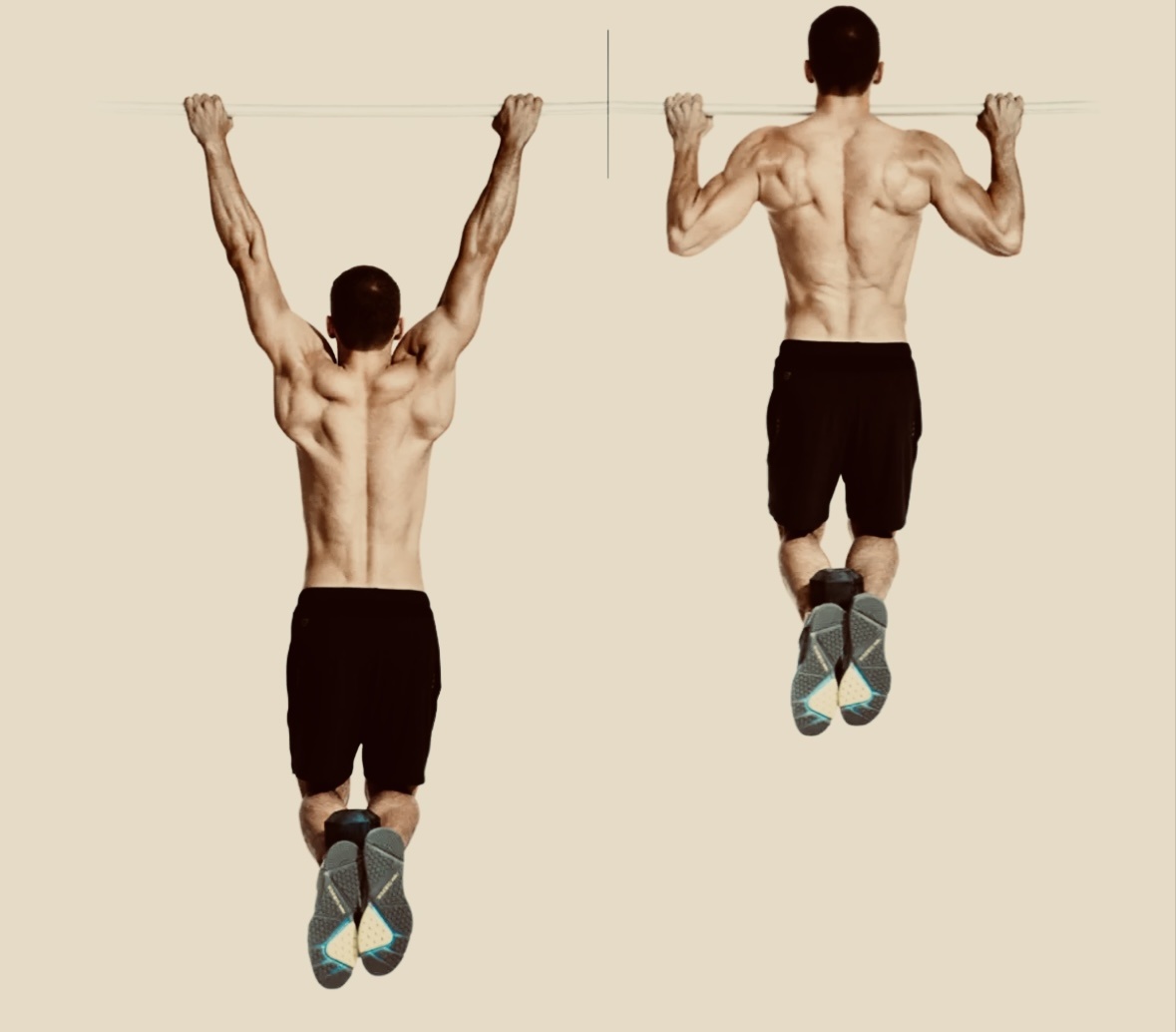 Подтягивание средним хватом.