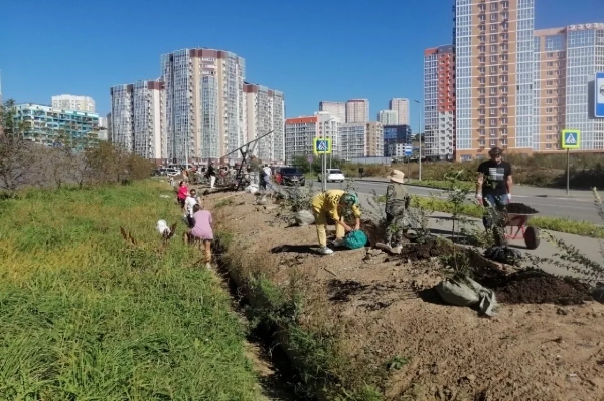    В микрорайоне Патрокл появилась «Семейная аллея»