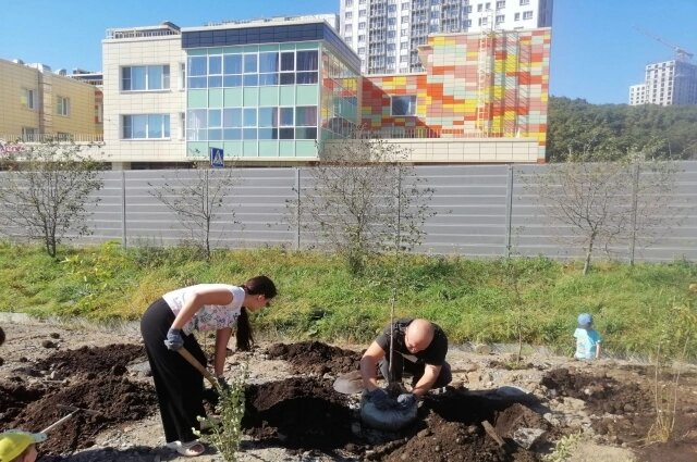    Фото: АиФ/ Дмитрий Хабалов