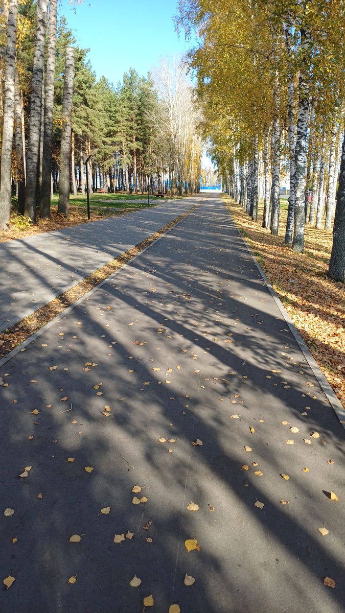 Вчерашняя чудесная погода.