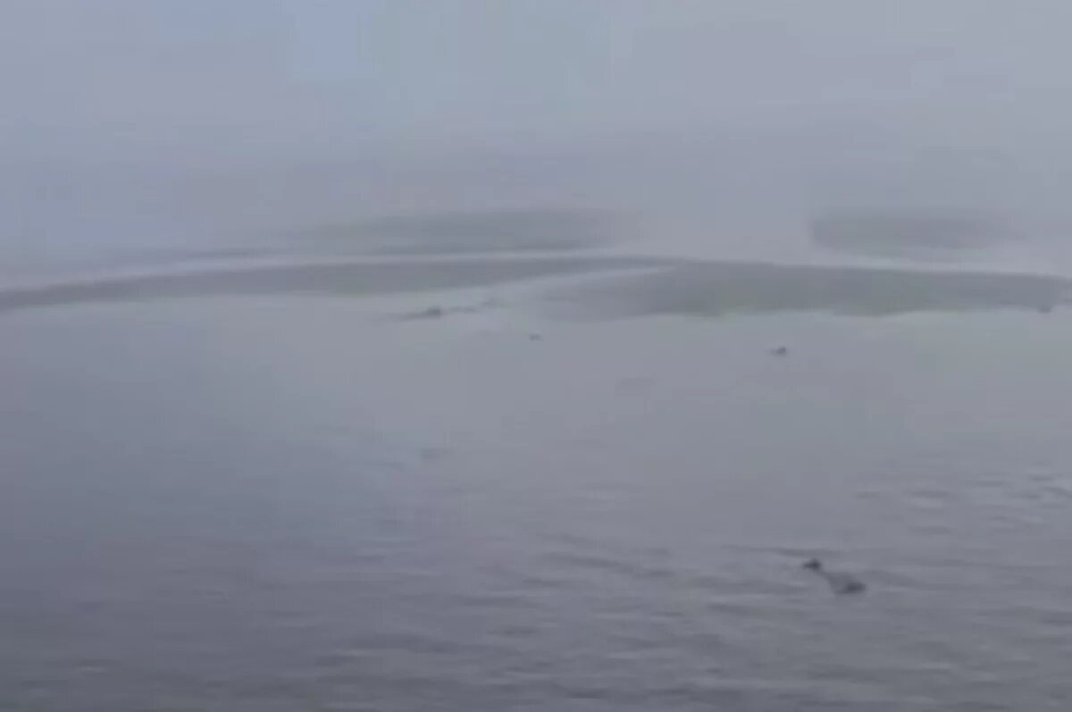    На западном побережье Камчатки ожидается перелив песчаных кос морской водой