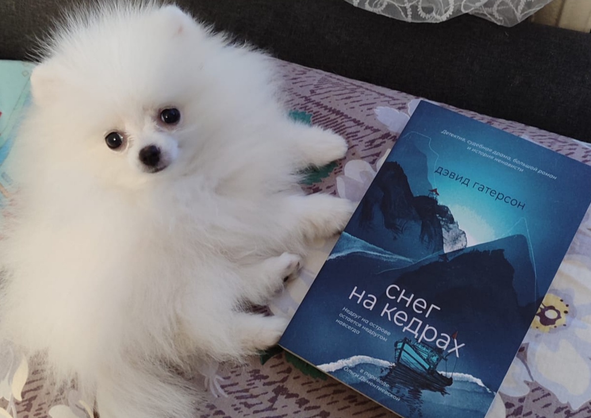 Читаемую сегодня книгу рекомендует Бэлла ( фото трëхмесячной давности, ещё совсем малышка). 