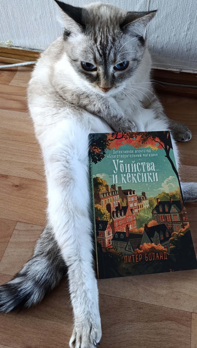 Книгу в мягкой обложке из сети магазинов Fix Price сегодня представляет Дженя в своей излюбленной позе "Ждун". 