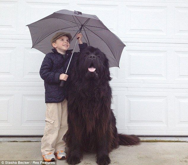 Картинка из интернета для иллюстрации