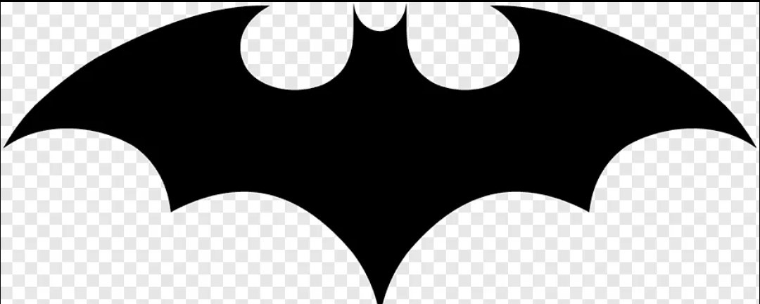 Силуэт летучей мыши, из интернета.