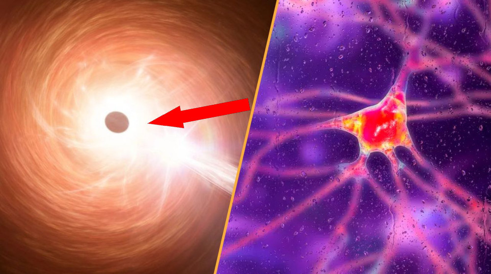    Наука на грани фантастики — прорывное лечение Хантингтона и черная дыра, которая ломает физику