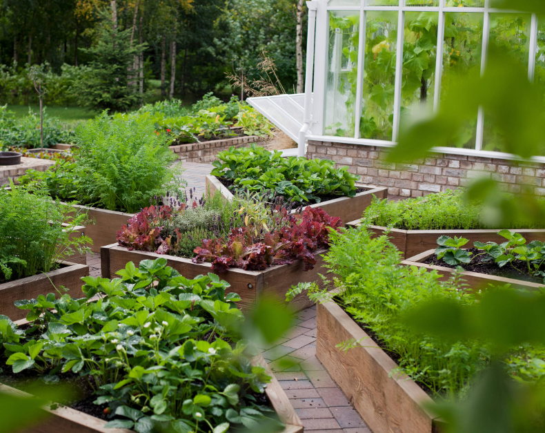 фото из интернета в сводном доступе