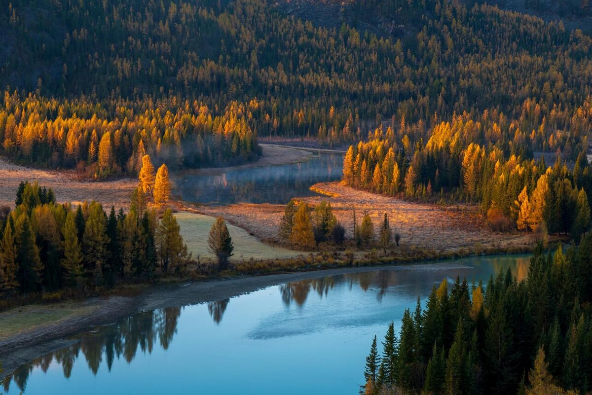     123RF/legion-media.ru