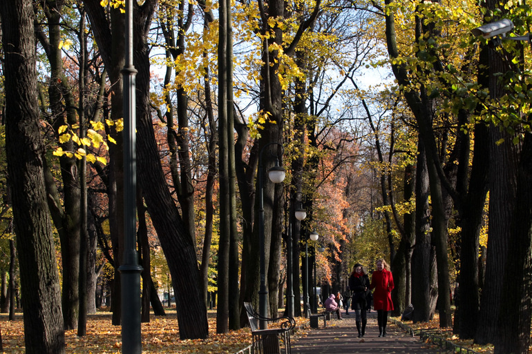    Фото: abn.agency