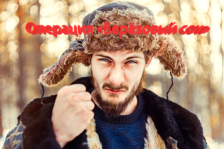    Два месяца спустя первые дроны с распылителями "Старичка" пересекли границу ЕС. Фото:Kolbakova Olga/ Shutterstock