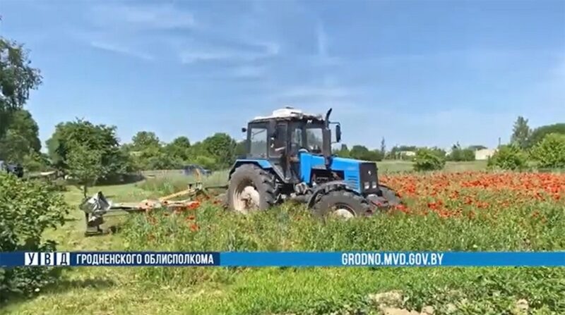    Скриншот из видео УВД