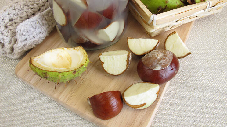 Крупно измельчить и высушить