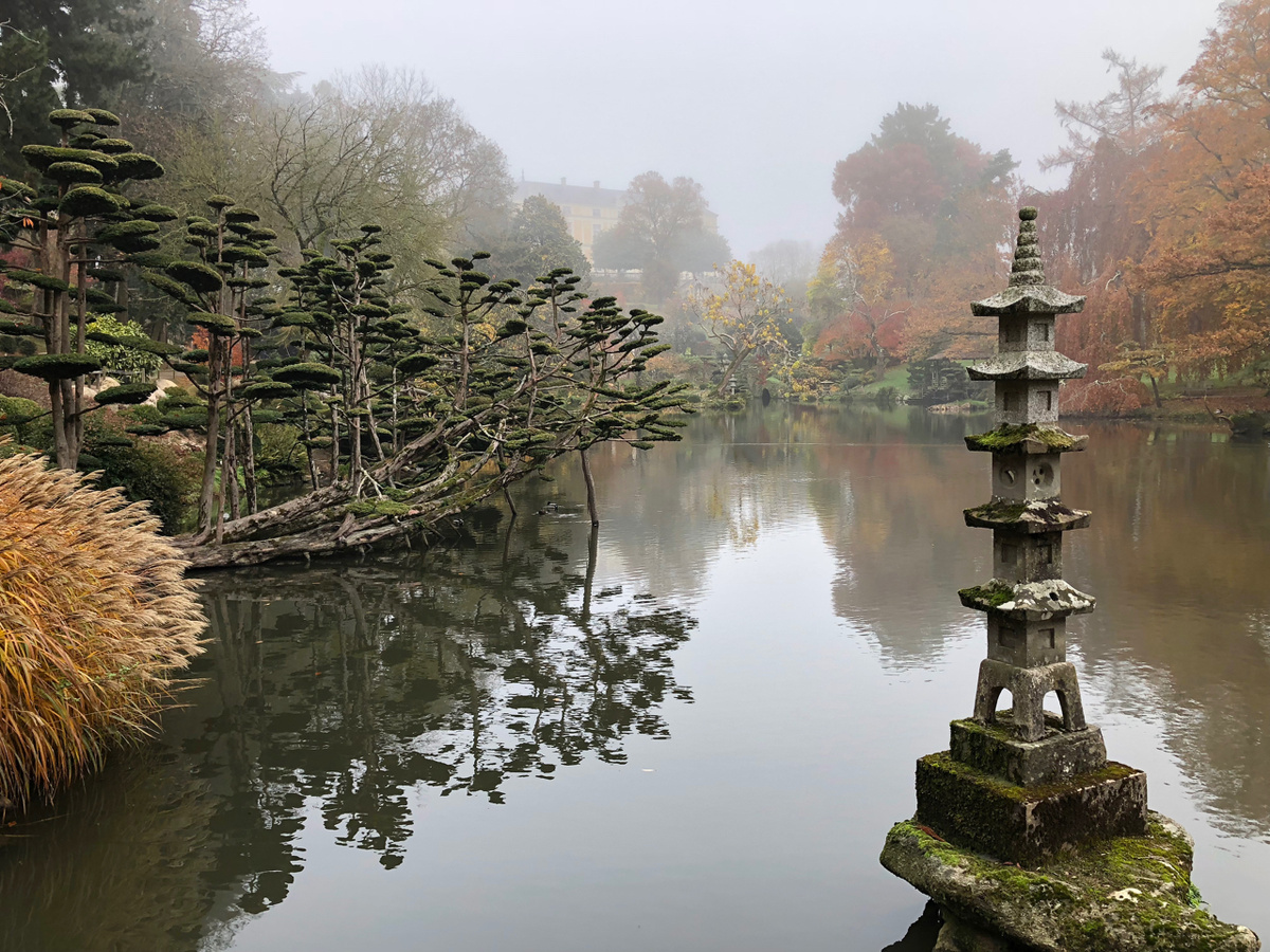 Конечно в ниваки есть стили – люди привыкли делить окружающий мир на категории. Но прежде всего мастер должен разглядеть природную красоту. Фото из открытых источников.