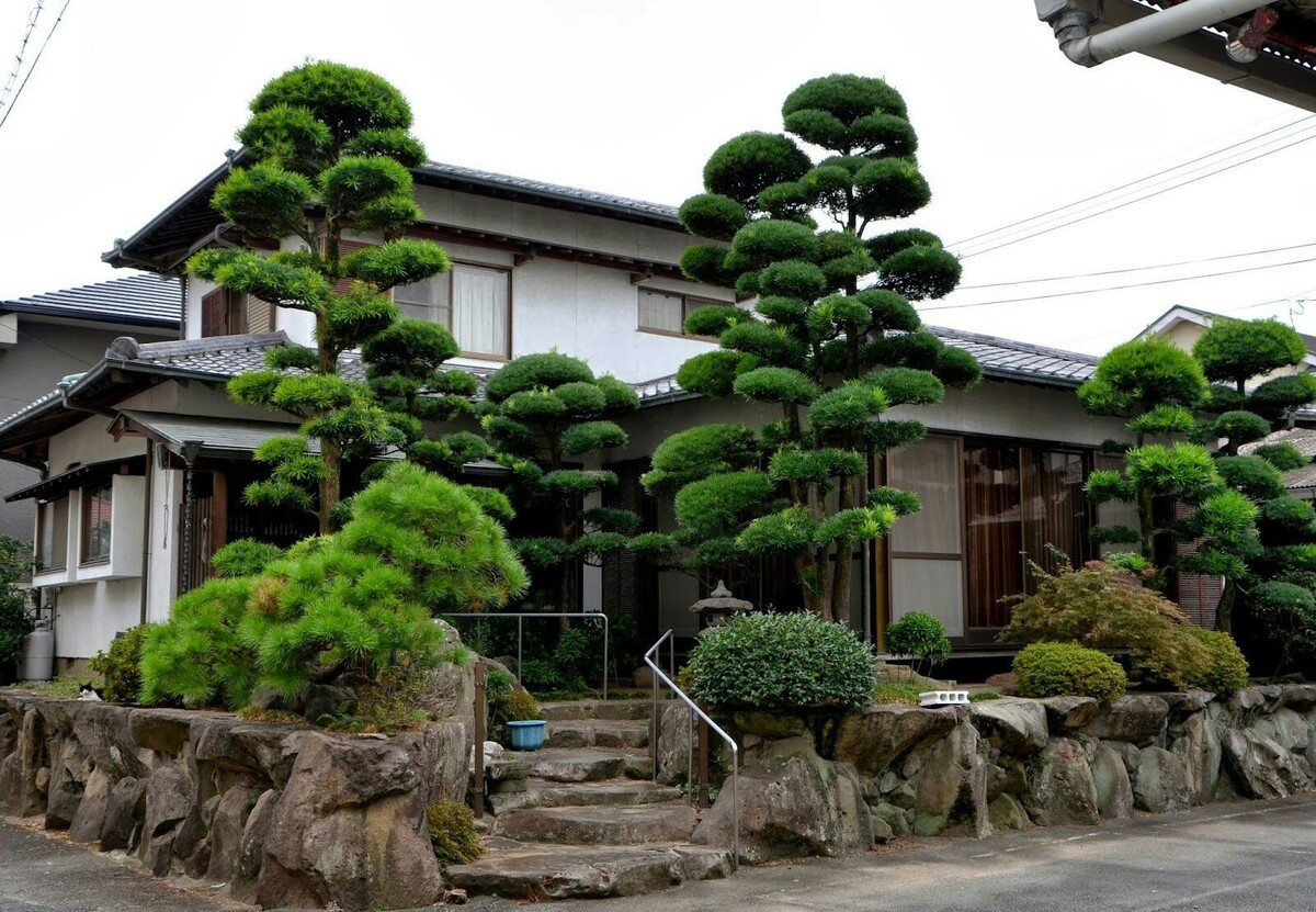 Фото из открытых источников.