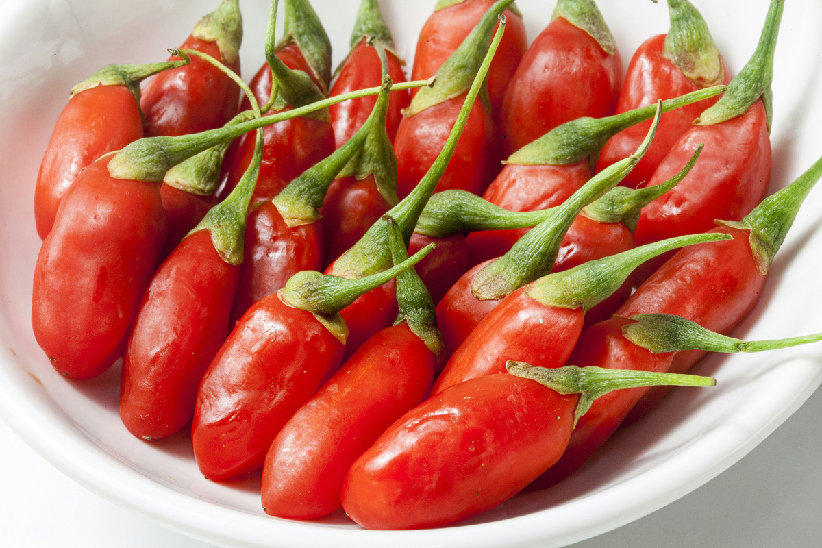    Фото: jie luo / Unsplash.com