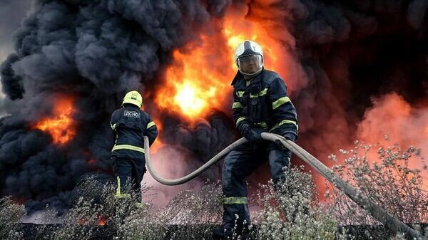    © Telegram Владимир Зеленский