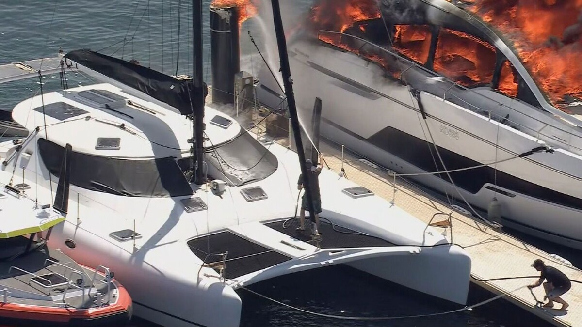 Изображение: 9news.com.au