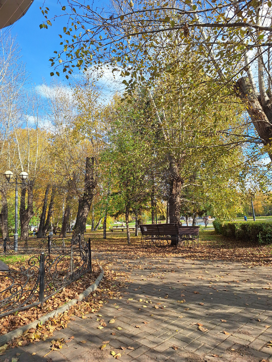 Обожаю такие "неприбранные" места с опавшими листьями