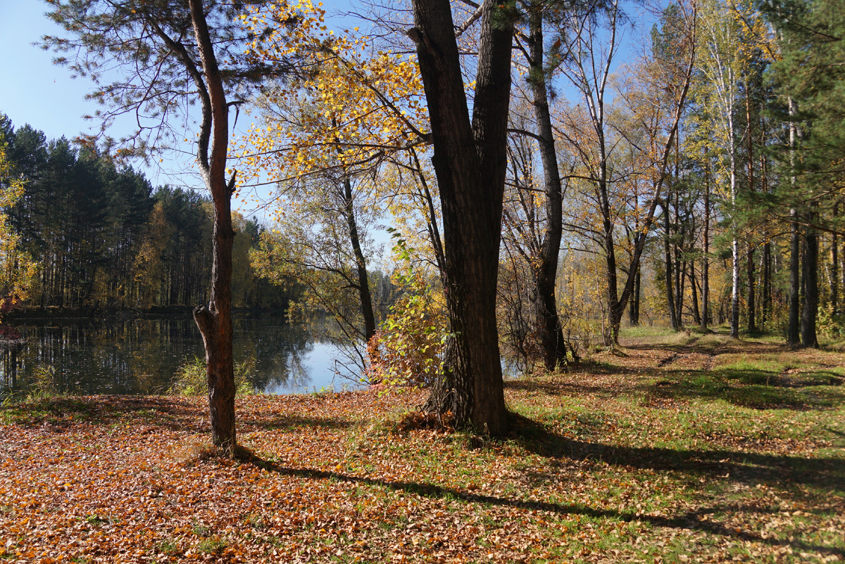 бабье лето.все фото подборки сделаны автором статьи