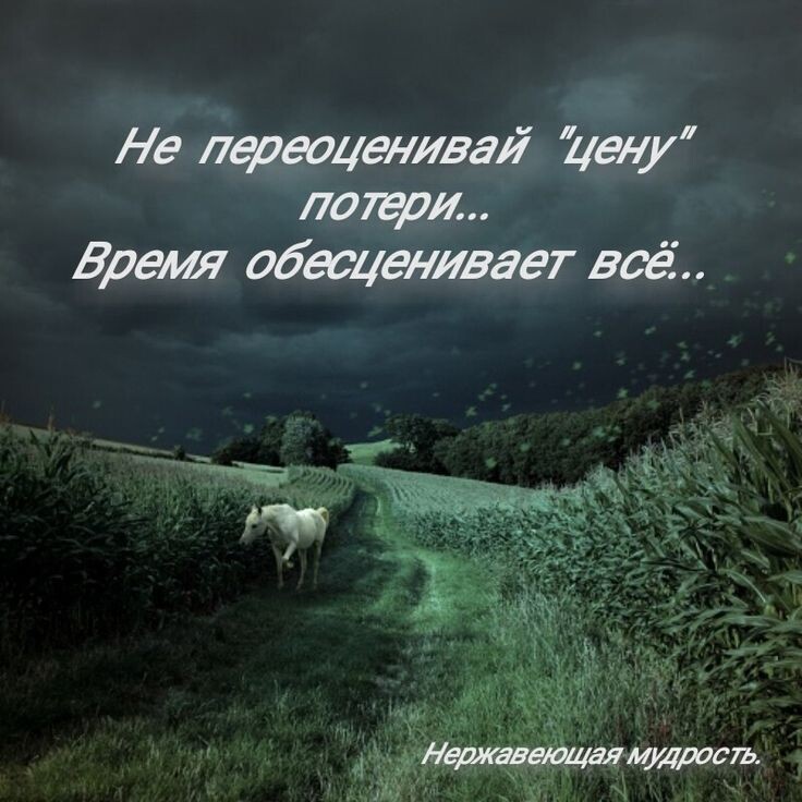 Яндекс-картинки. Вчитайтесь еще раз в высказывание