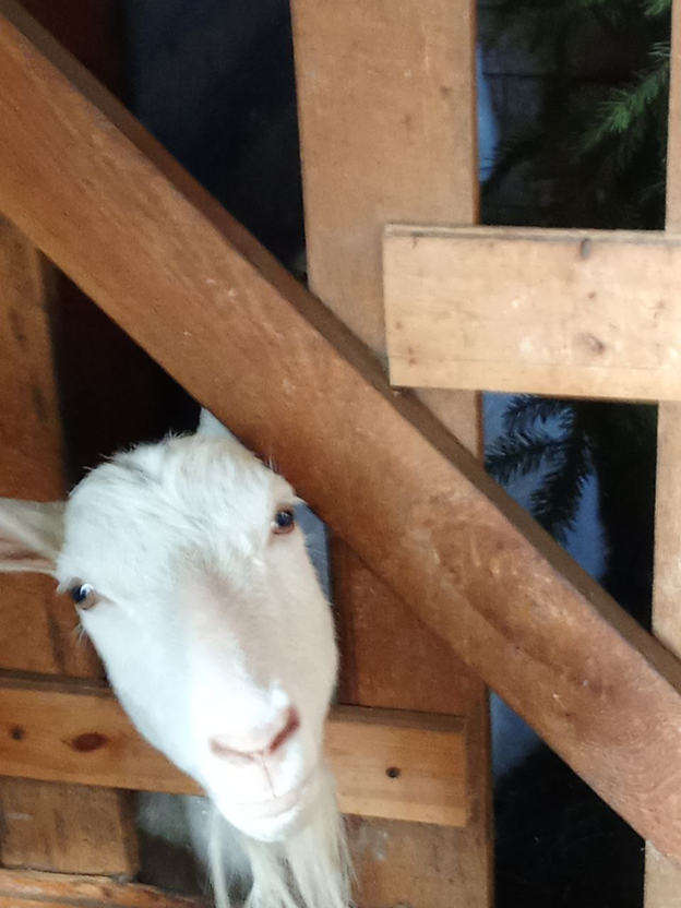 Личное фото