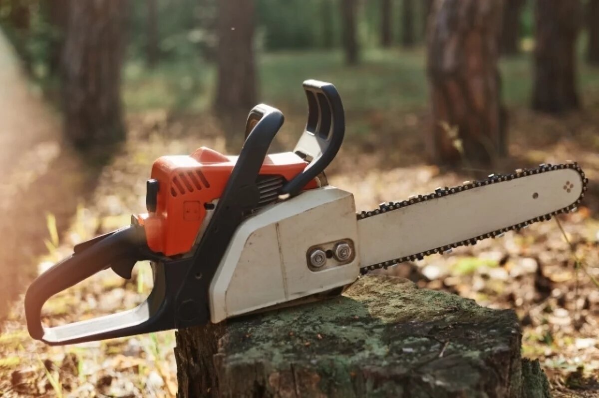    На вырубку деревьев пожаловались жители дома на Тушканова в Петропавловске