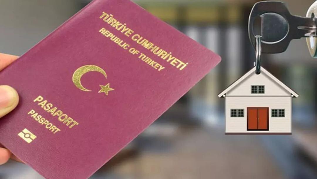 Фото из Интернета.