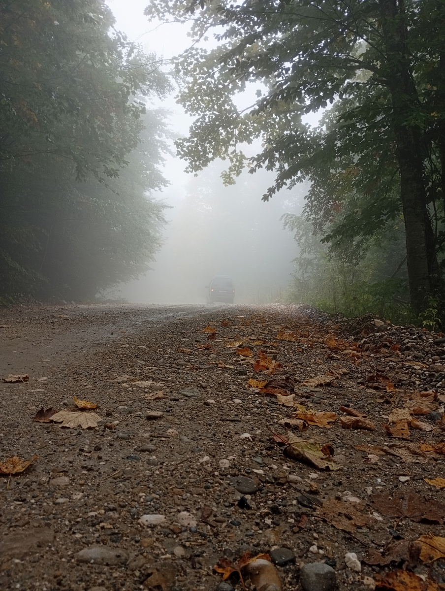 Дорога к Водопадам 