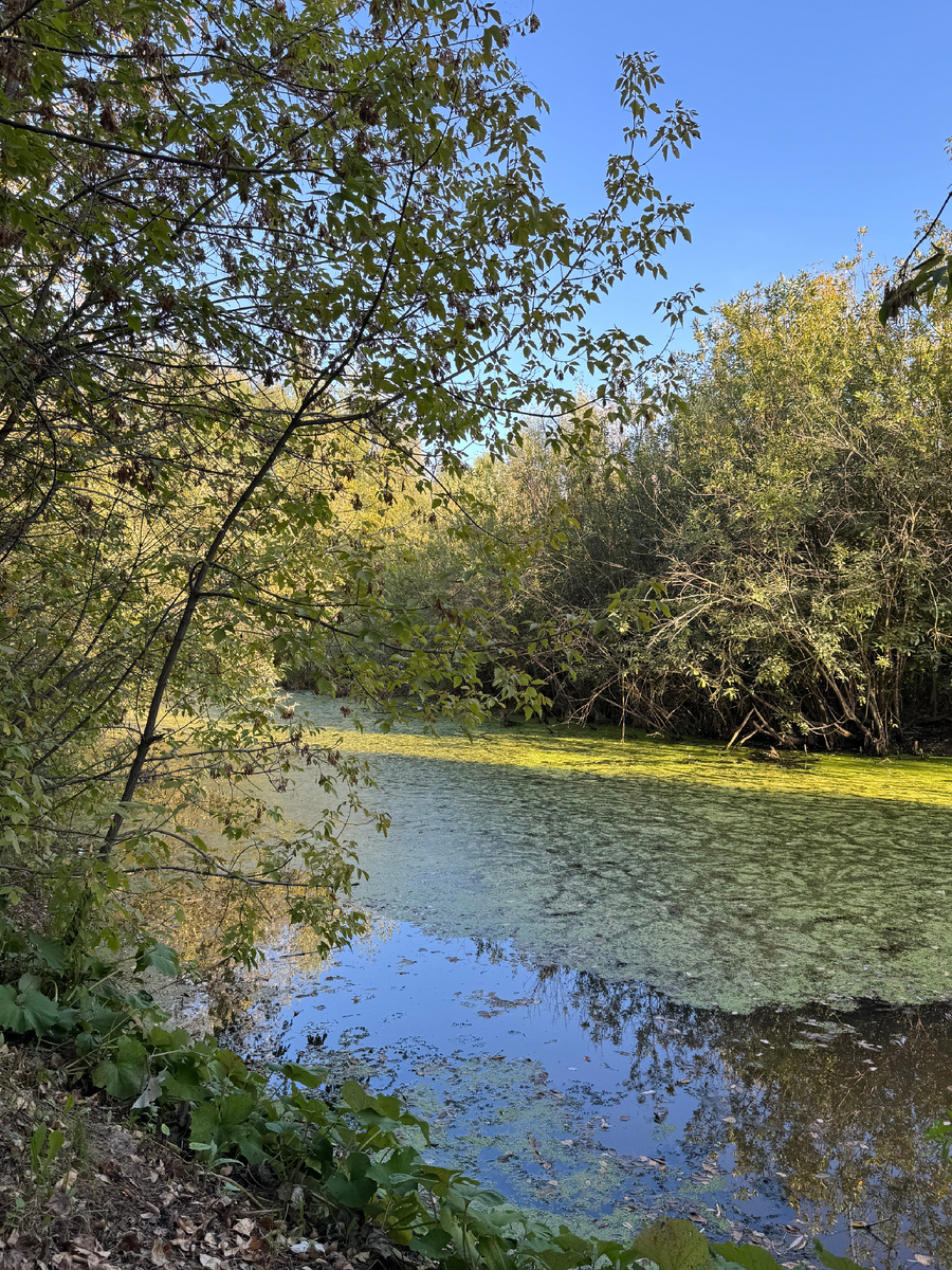 Дорожные фото зарисовки 