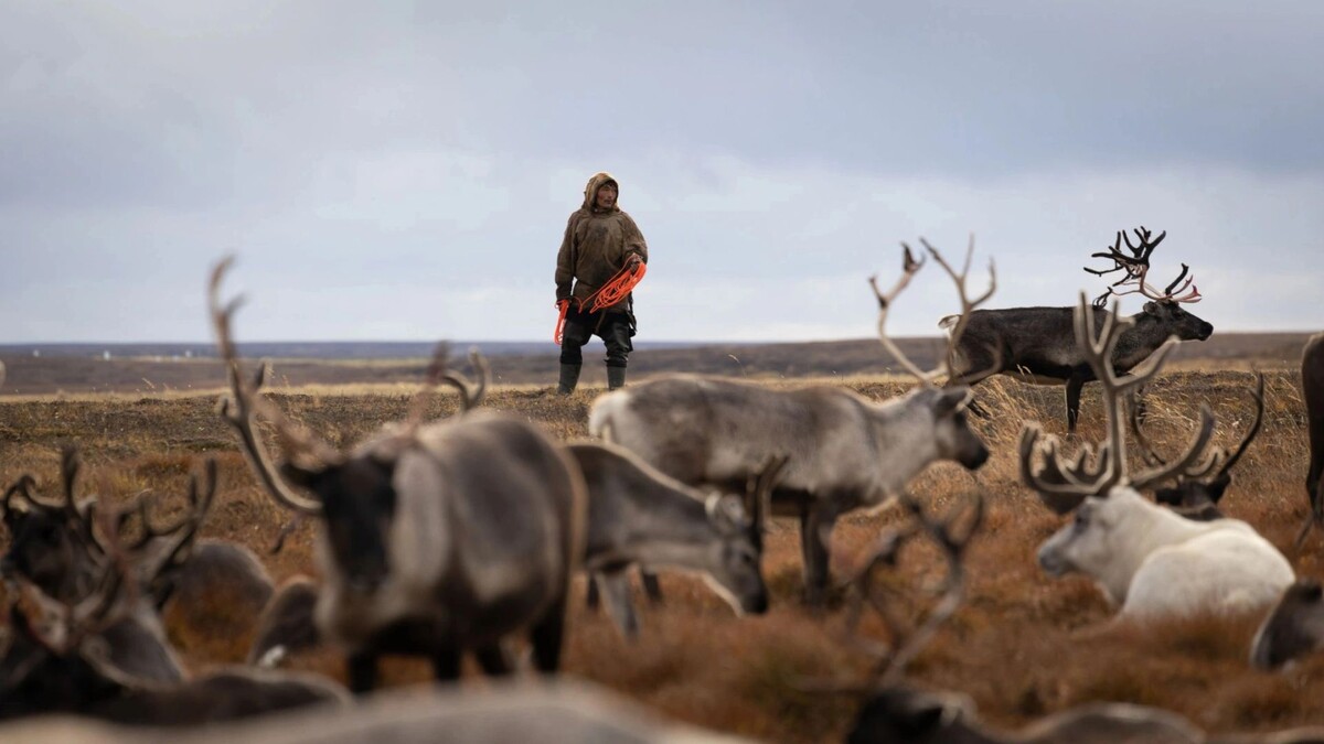    Фото: Федор Воронов/«Ямал-Медиа»