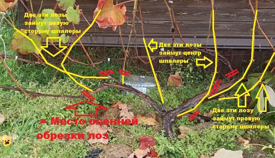 "Что мне делать дальше, ума не приложу. Можно ли исправить ситуацию?"