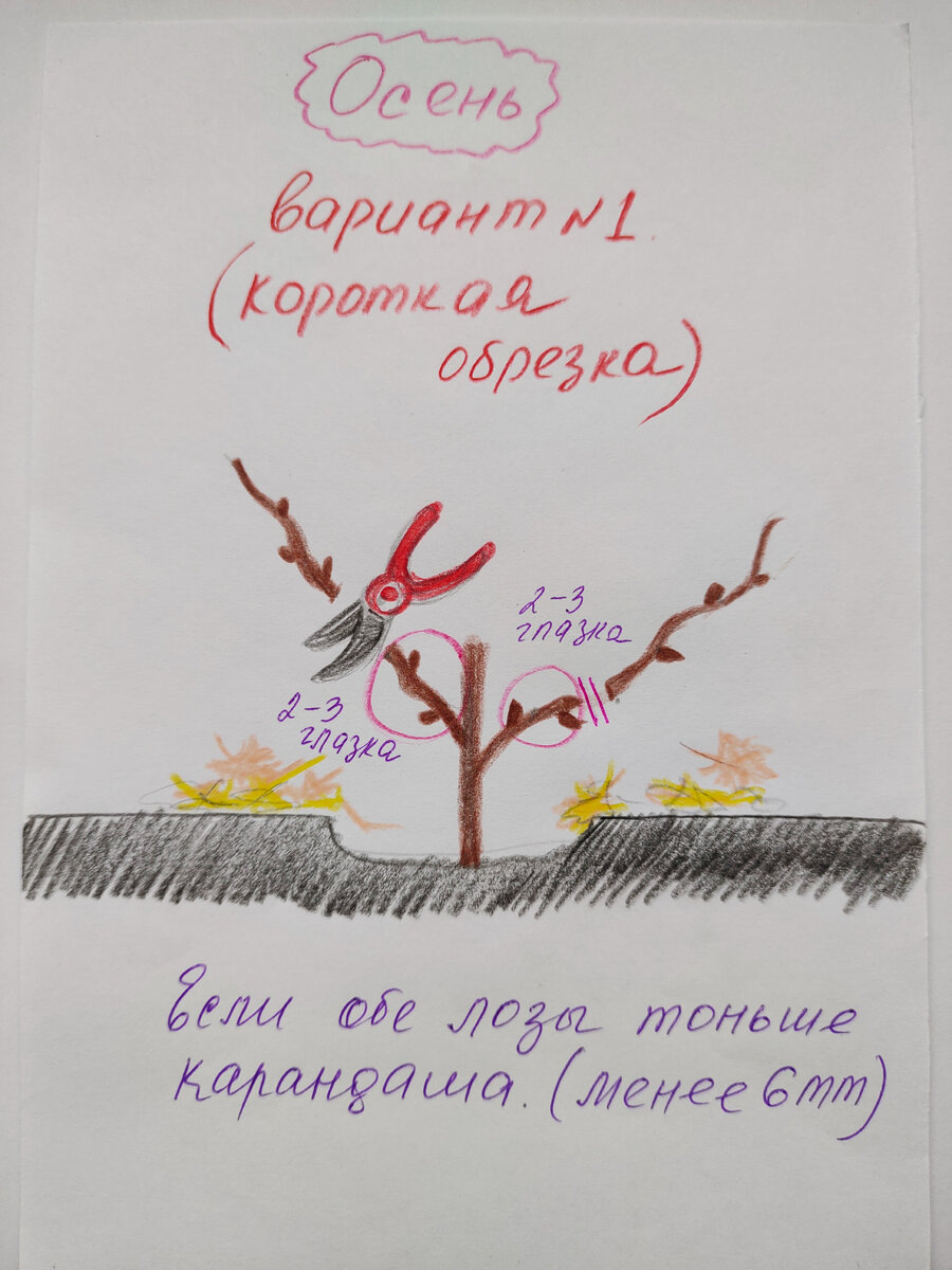 Картинка из статьи 