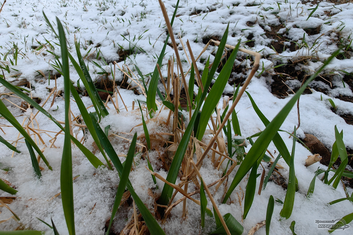    Фото: © ИА «Уральский меридиан»