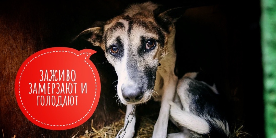 Хоспис. В здании заживо замерзают инвалиды!