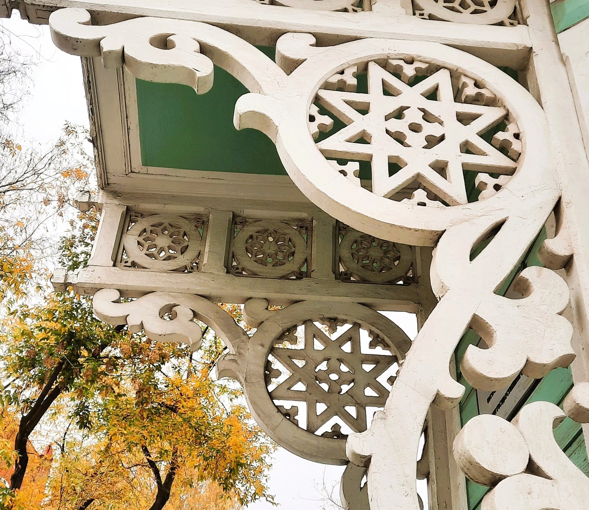 Розетка в декоре особняка Хомича