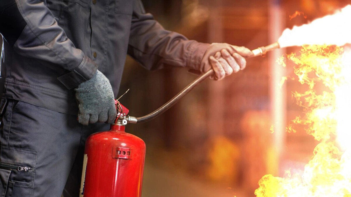    Фото: Piotr Zajda/Shutterstock/Fotodom