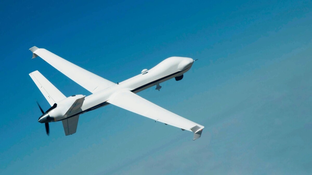    Фото: Artsiom P/Shutterstock/Fotodom