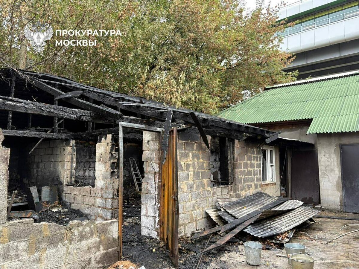 Фото: t.me/moscowproc