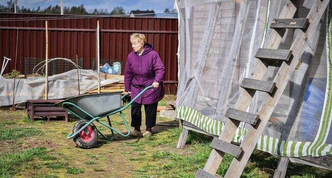    РИА «Новости»