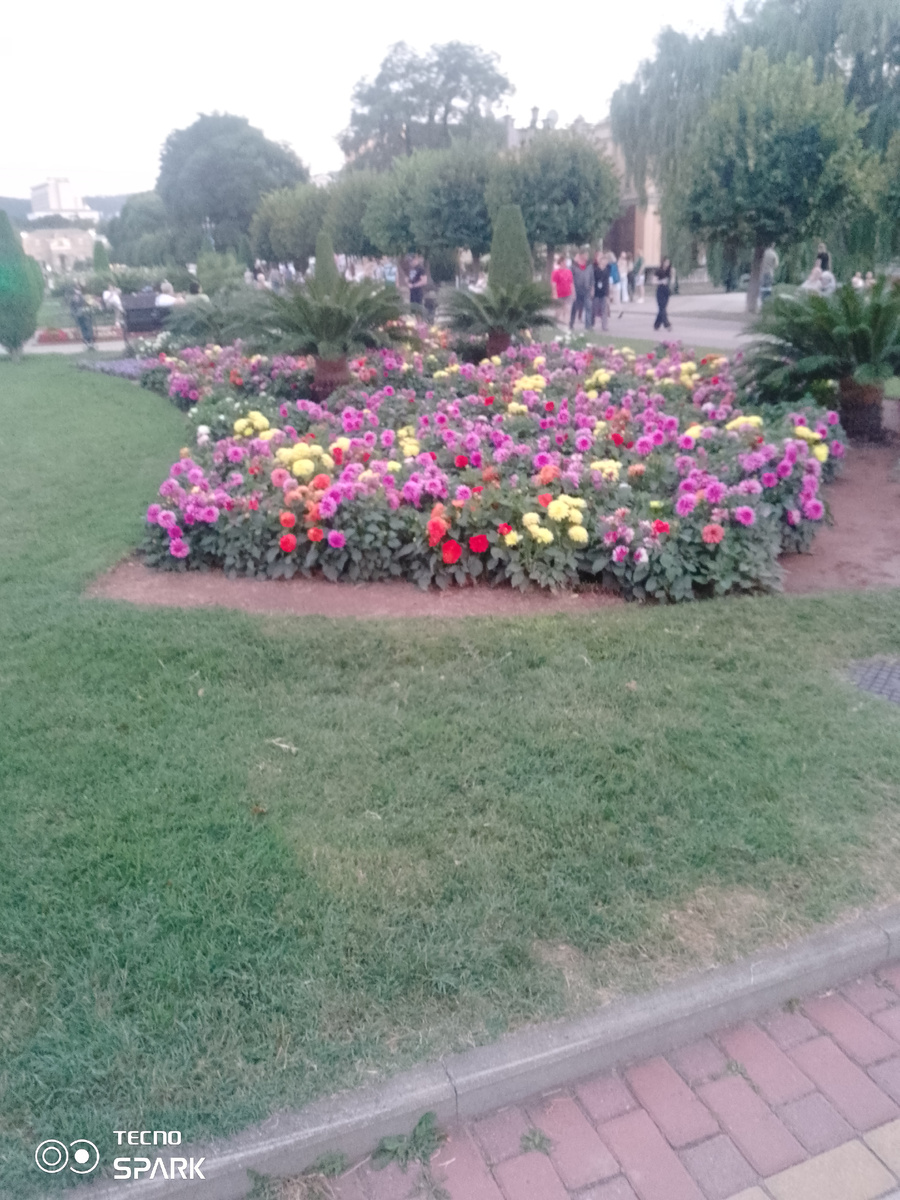 Фото автора.