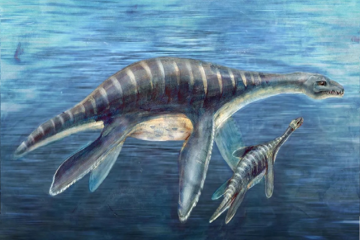    Фото: Nicolle Rager, источник: National Science Foundation