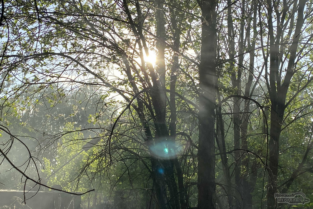    Фото: Александр Аникин © ИА «Уральский меридиан»