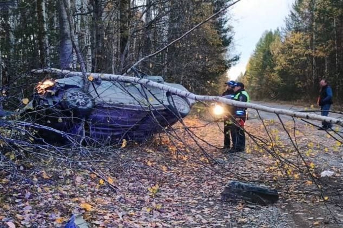 Фото: пресс-служба ГАИ Свердловской области  📷

