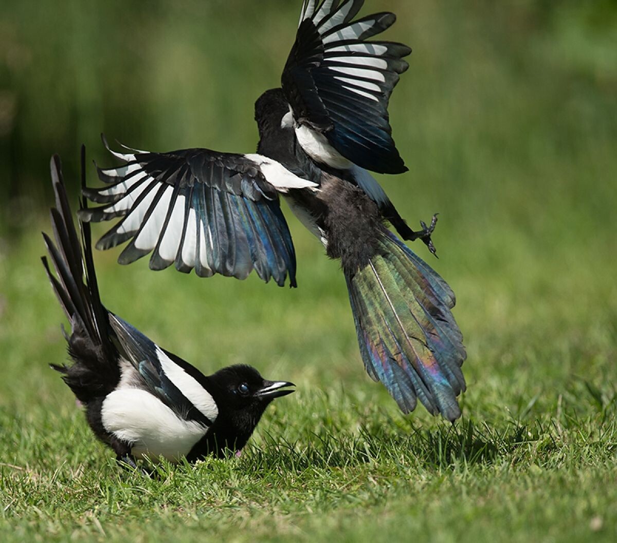 Наблюдать и сопереживать, очень интересно.