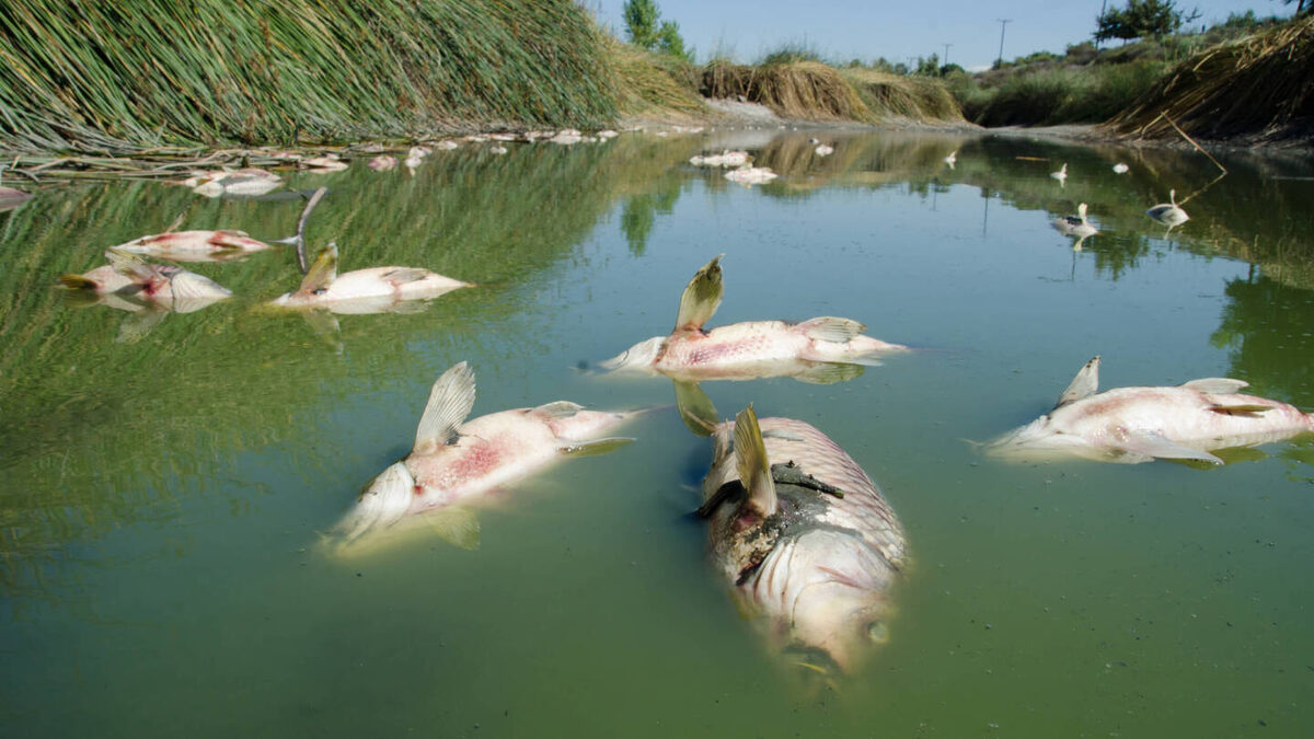     Фото: Jason Mintzer/Shutterstock/FOTODOM