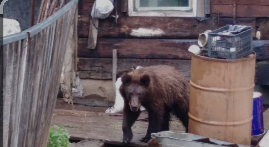 Фото из интернета 