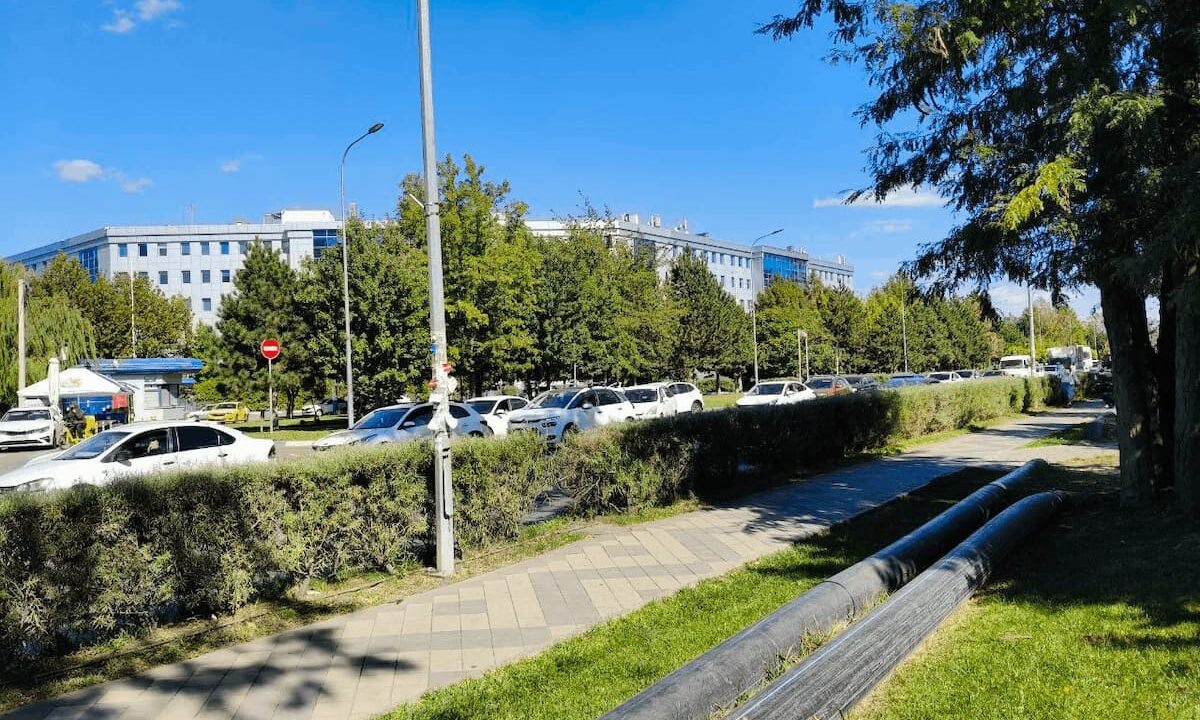    Фото пресс-службы администрации Краснодара