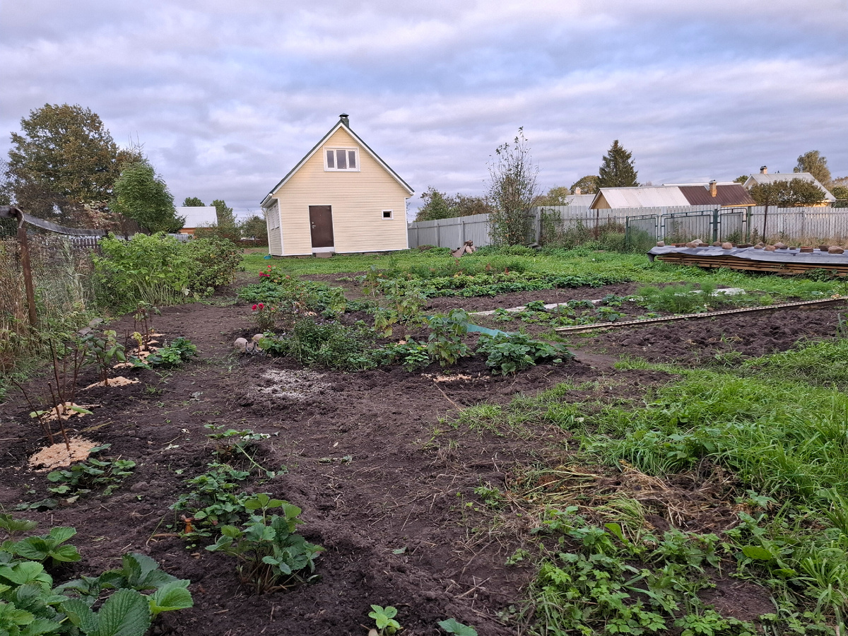 Осень-25! Справа видны приготовленные доски для второго этажа бани. Сохнут с начала лета...